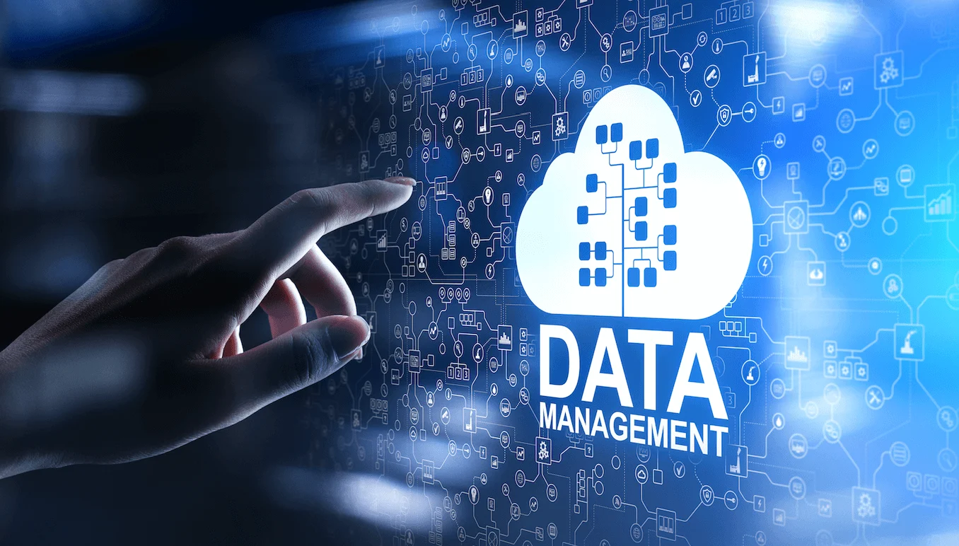 Database Management